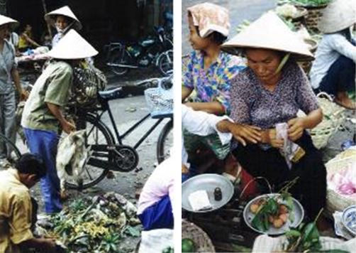 tour vietnam markets on vacation